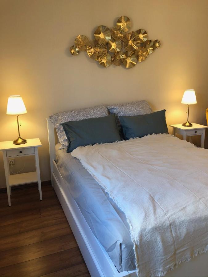 Modern Comfort In Historical 布达佩斯 外观 照片